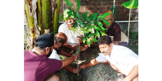 अन्तर्राष्ट्रीय नशा निरोधक दिवस पर पर्यावरण भारती द्वारा पौधारोपण 